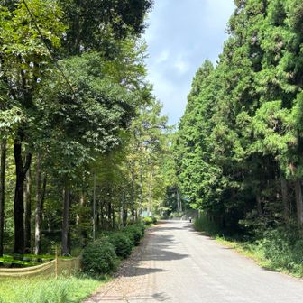 今日はt-yanさんの軌跡を頼りに、お花探しです。