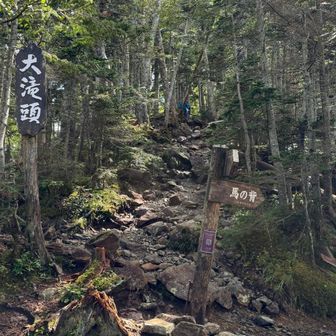 見晴らしいいのは左のコースですが、初日はのんびりしたく馬の背ヒュッテへの最短ルート右コースへ