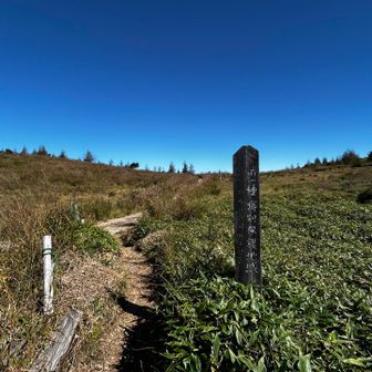 ここからやっと登山道