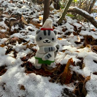 「この程度の雪では遊べないなー」