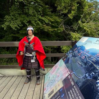 説明してくれるのが、何故か小早川秀秋