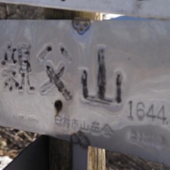 この標識が特徴ありだね