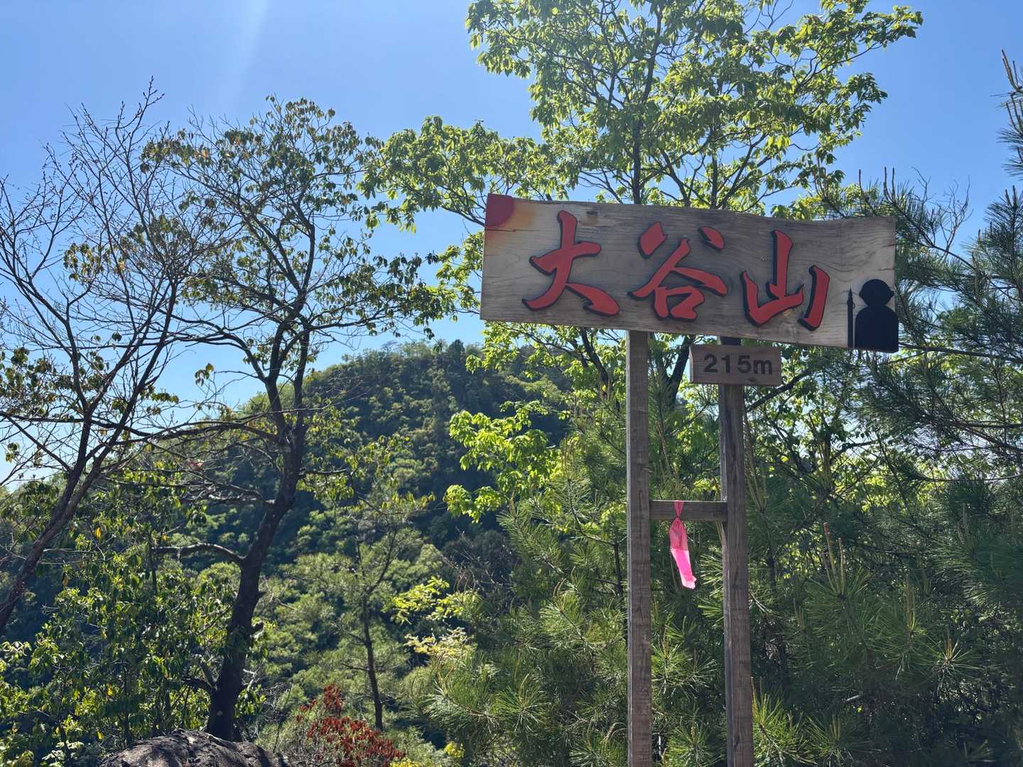 あちこちにある鬼飛山から、鬼が飛び移ったらしいです👹
