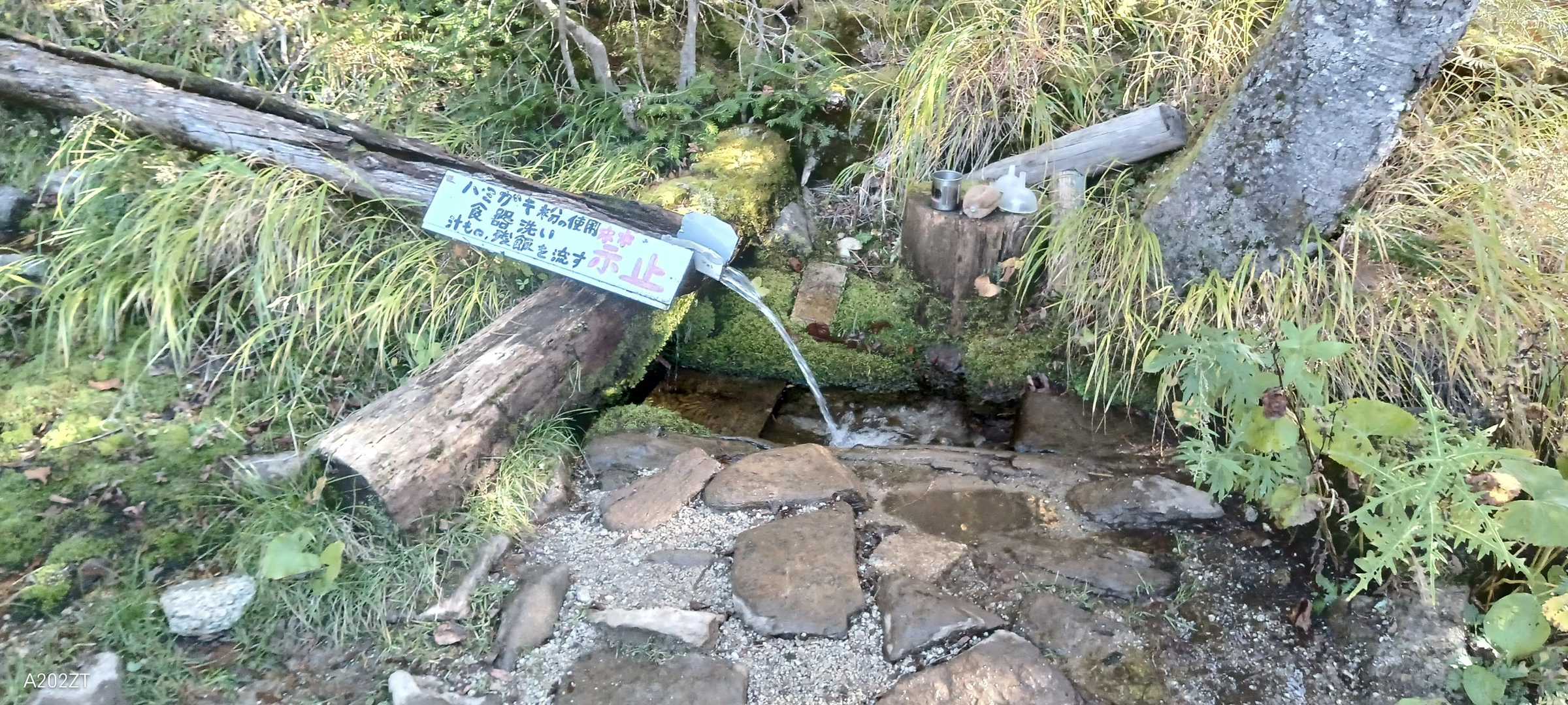 お水をいただきました
冷たくて美味しかったです(^^)