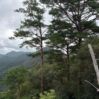 岩の上に登るとカランコロン岩らしき展望所が見えました
スッキリしない空を眺め、下山するまで雨が降らないよう願いながら進みます
