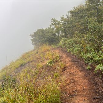 前山付近でちょっと平らになる