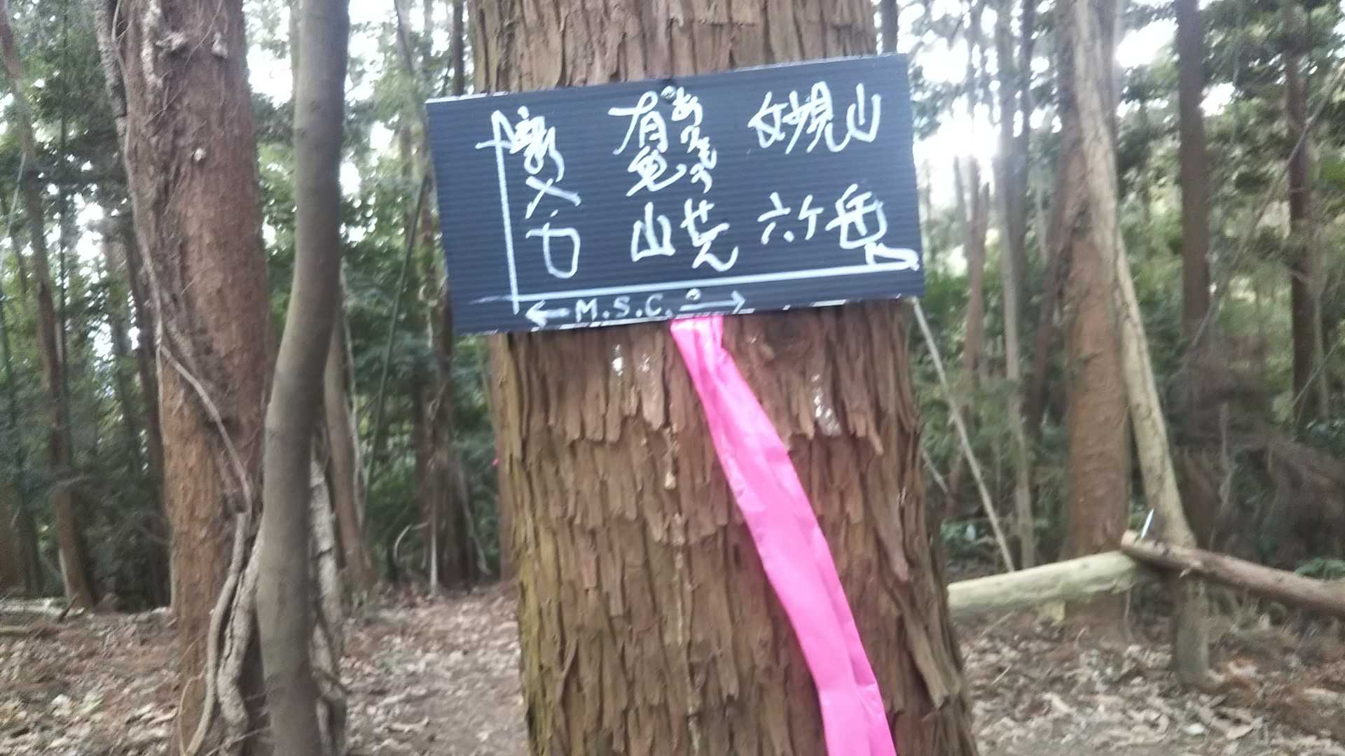 有毛山