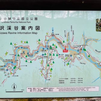 時間に余裕があったら行こうと思っていた西沢渓谷、体力に余力なしのため断念🤣