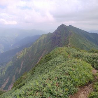 山トラ