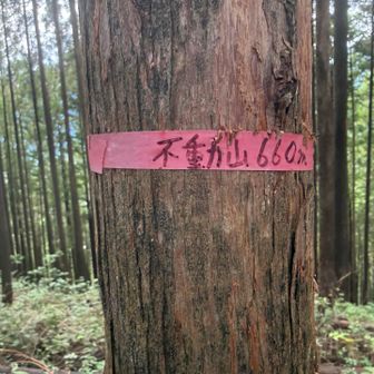 不動山登頂660m
(YAMAP661m)