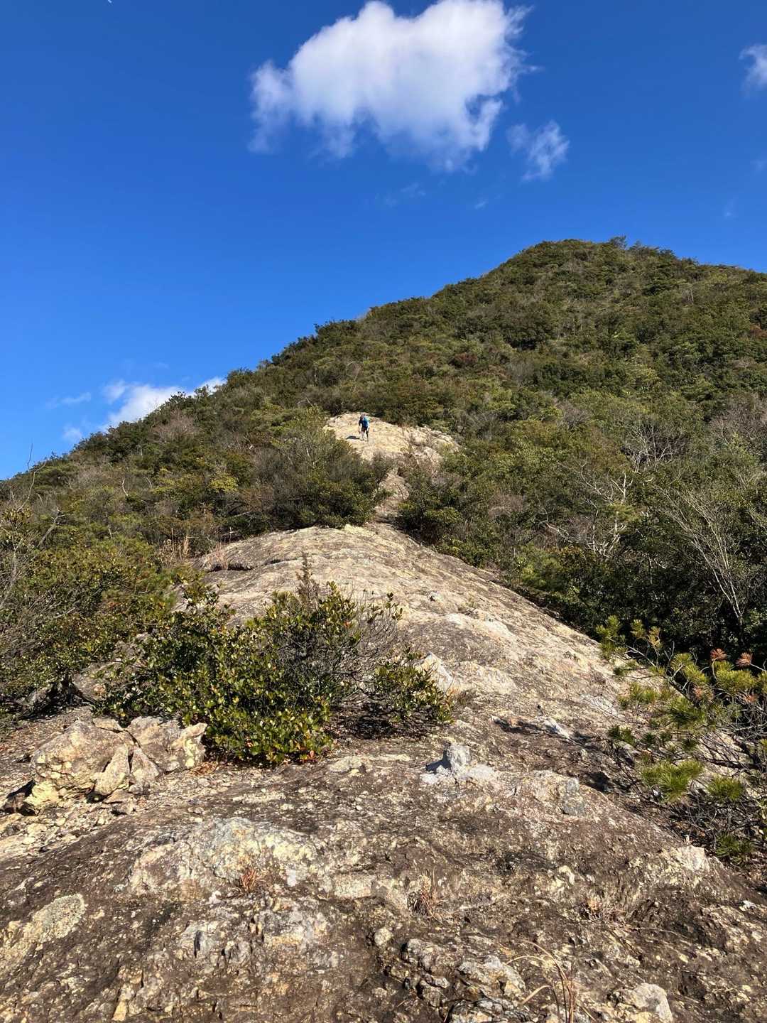 下山開始。トレントがんばれー📣