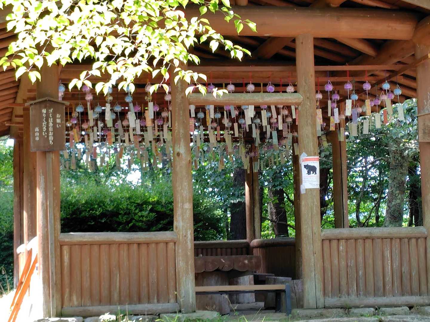原山-松倉山 往復コースの写真