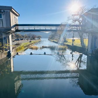 観光センター前の水路