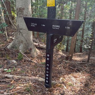 帝釈・丹生縦走路