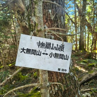 小中大！
他に前もありますよ

大無間からの帰りはここ注意！
ここで90°方向転換！迷い跡もありまっすぐ行ってしまう間違い多いようです。