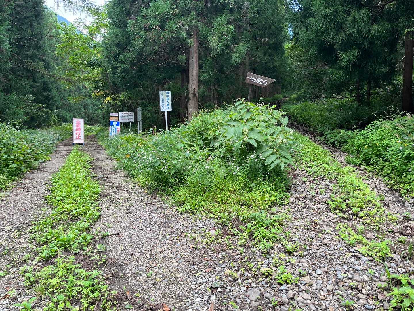 右へ。戻りは左からの予定です。