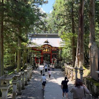 参拝順路に沿って進みます