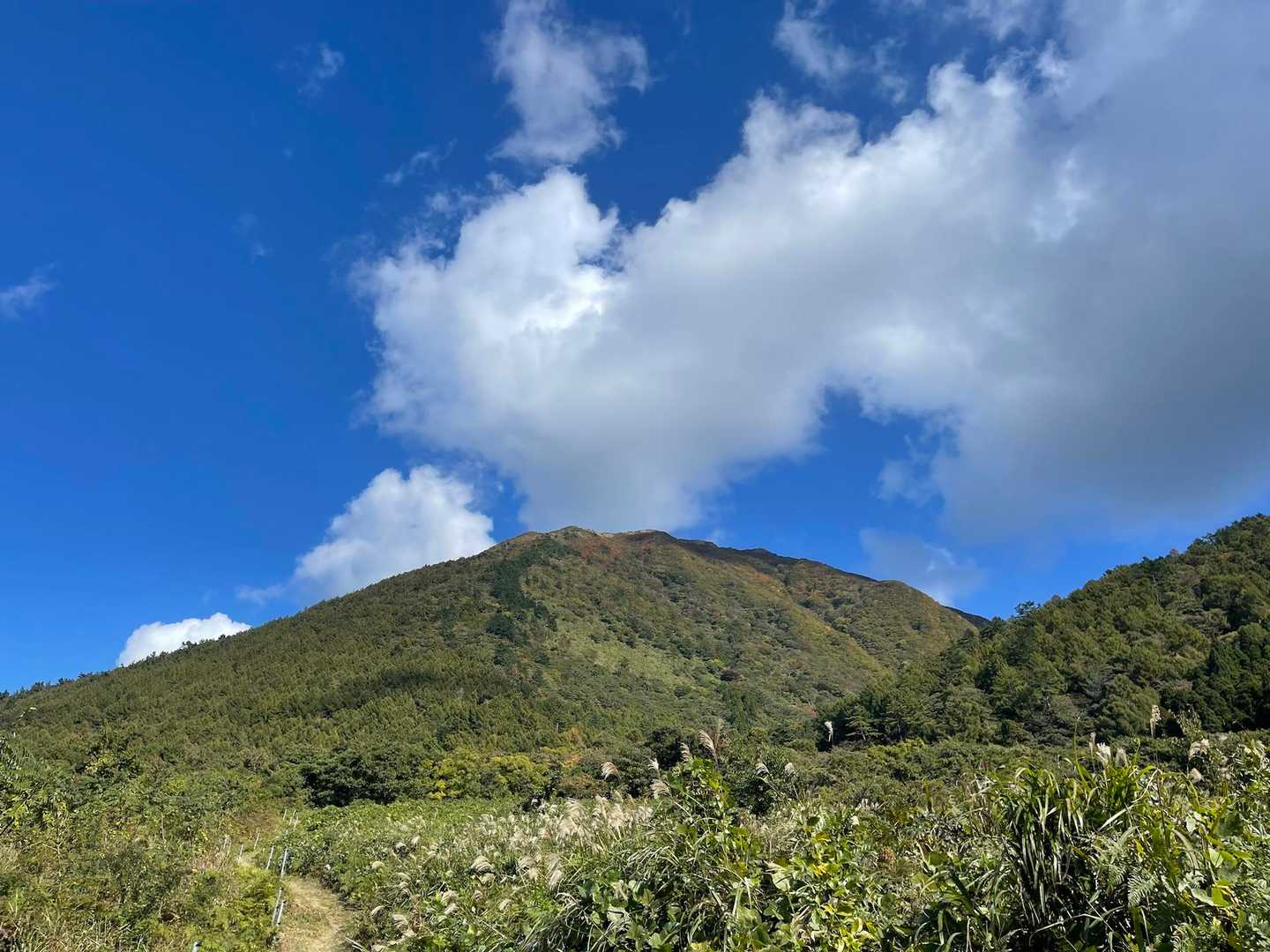 西の原登山口-男三瓶山 往復コースの写真