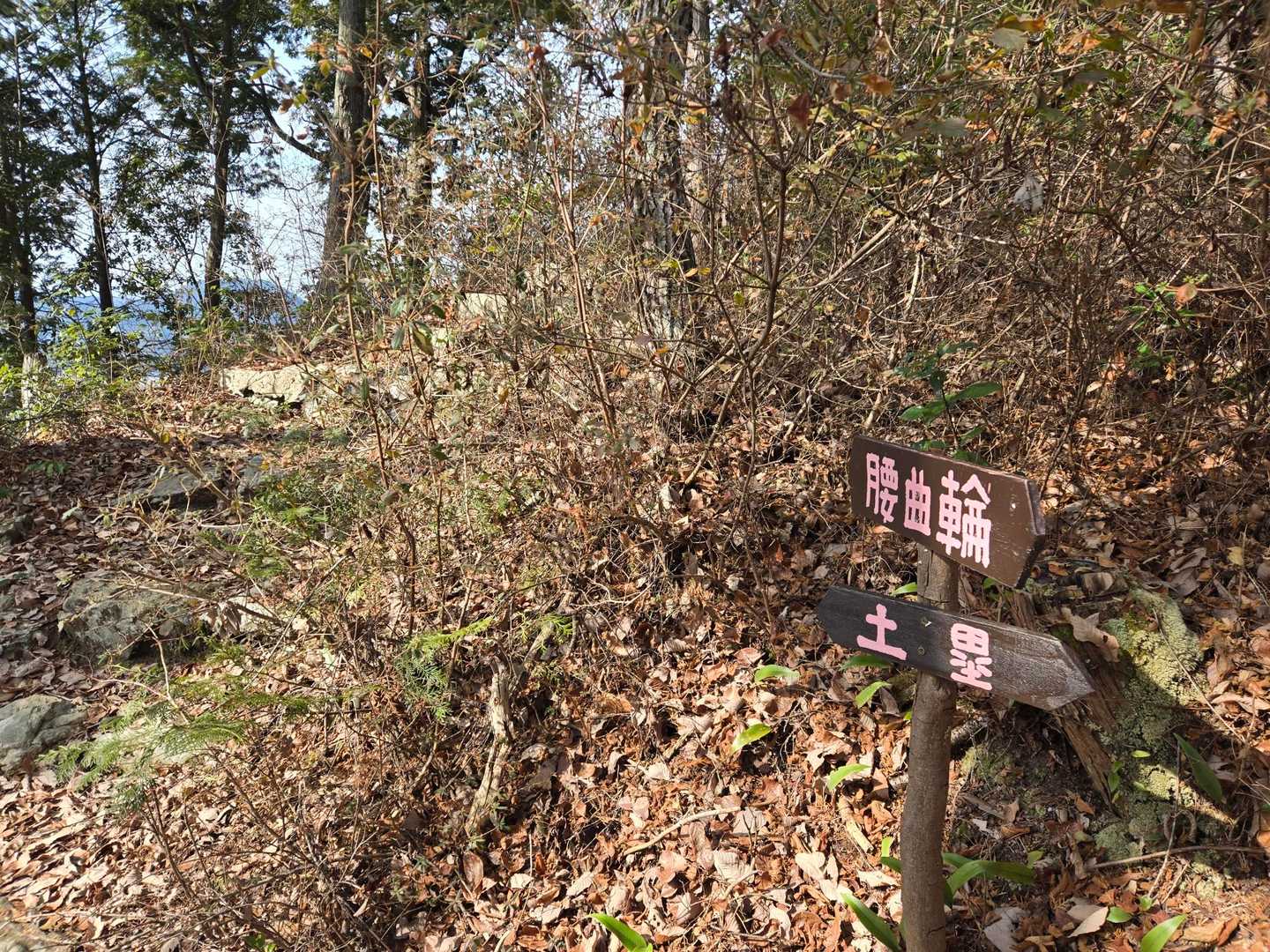 米田富士-加茂神社 往復コースの写真