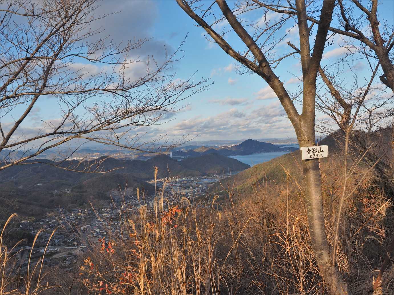 青影山山頂（中ノ庄側）