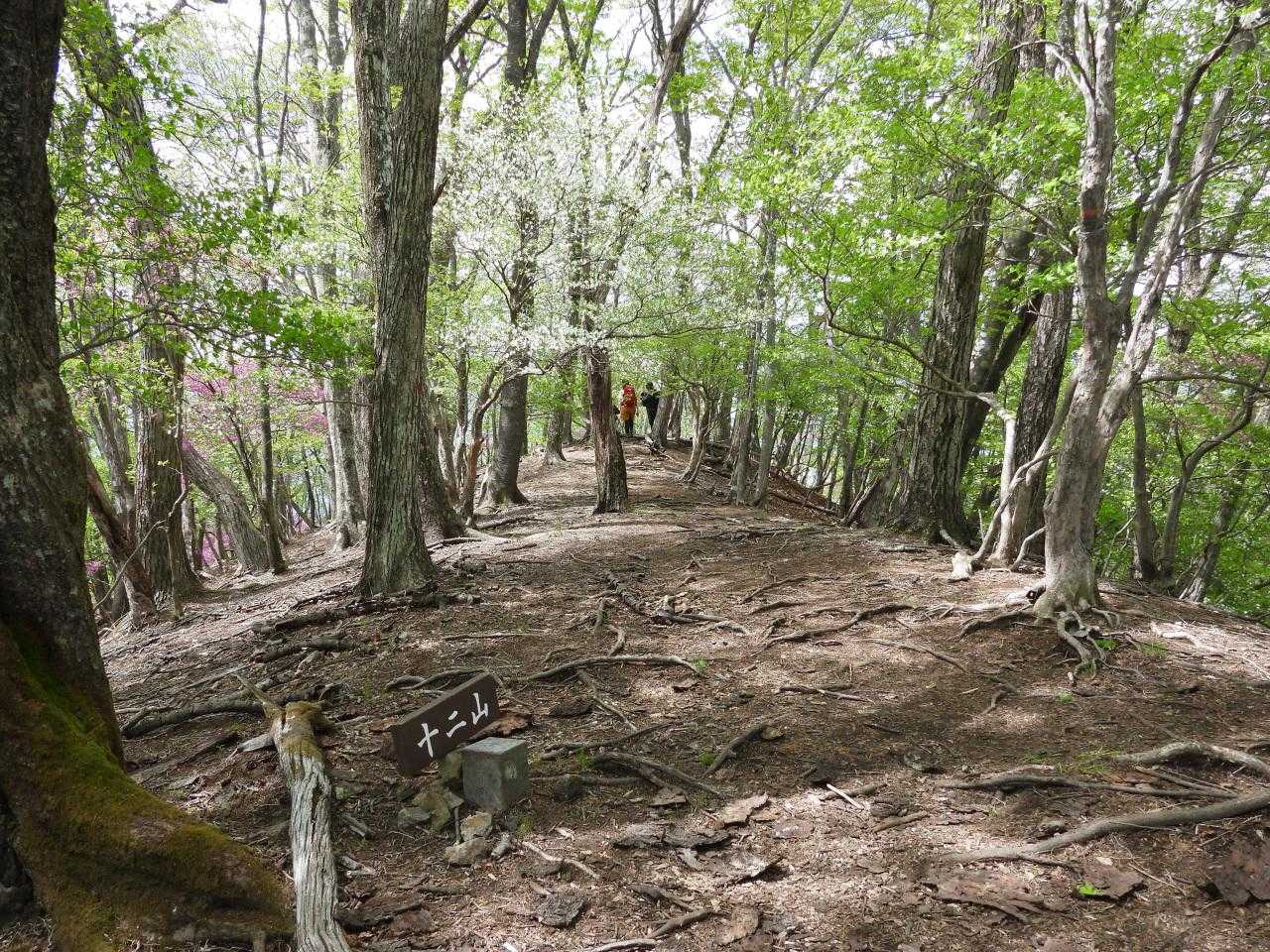 十二山-熊鷹山 往復コースの写真