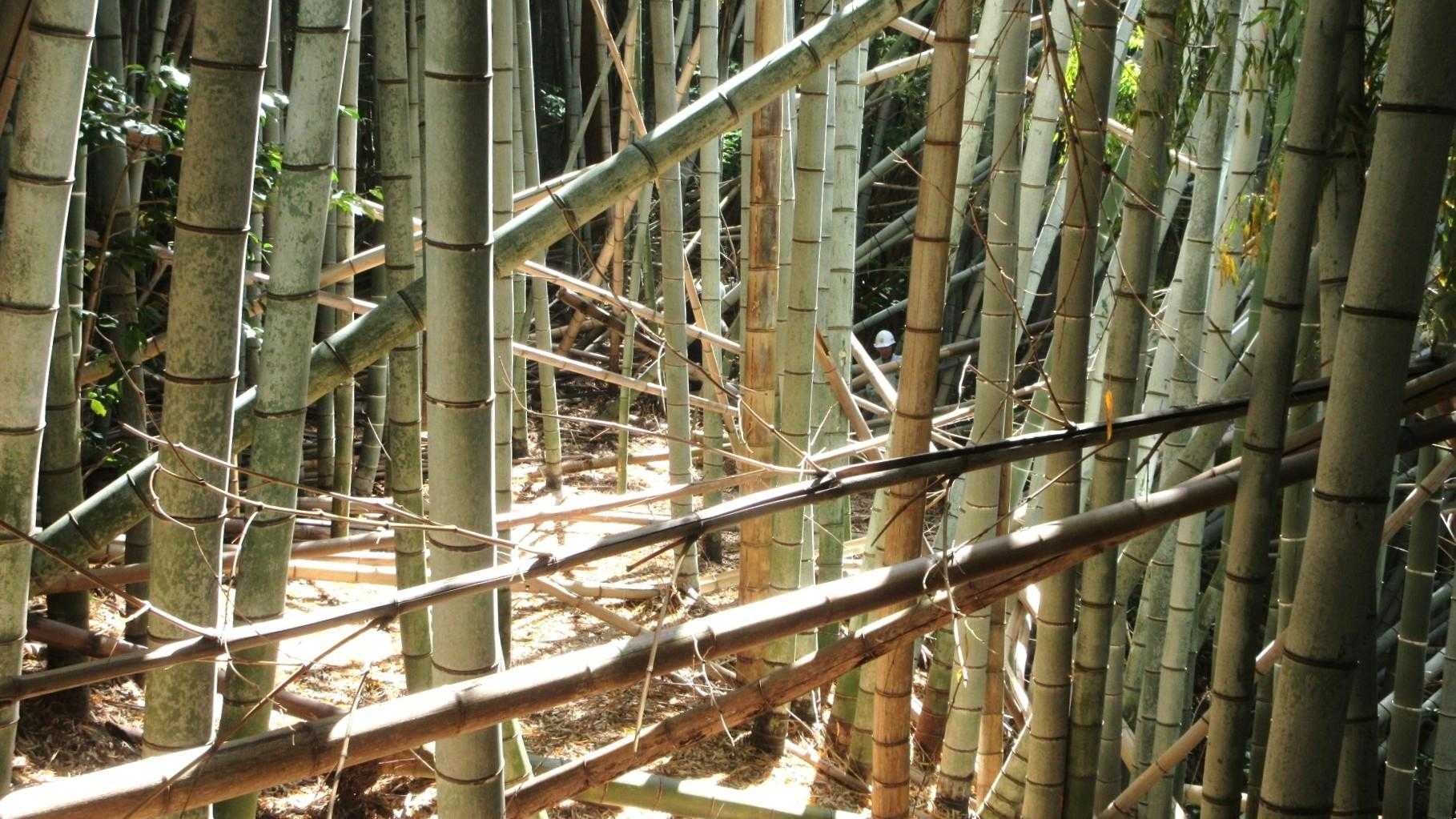 成相寺ルート、難所に至る😓