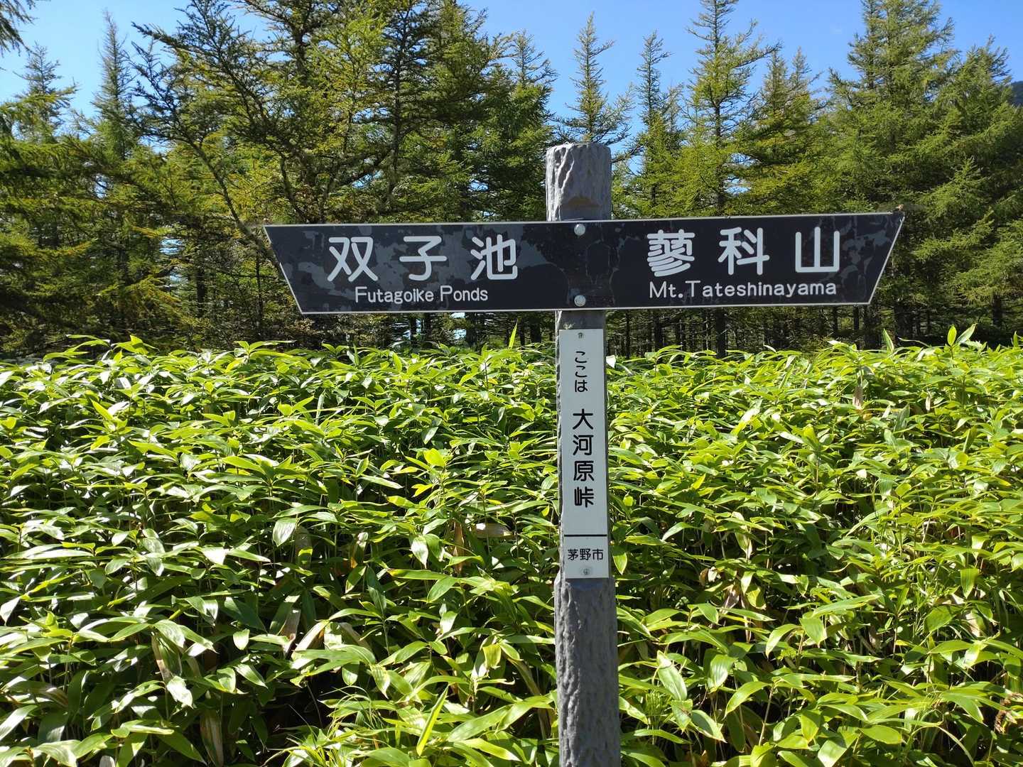双子山の後には双子池にも向かいます😊