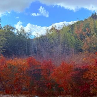 下山して戻りの車道にて…
