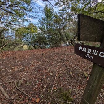 基本メインとなる由良海岸からの登山道🚶