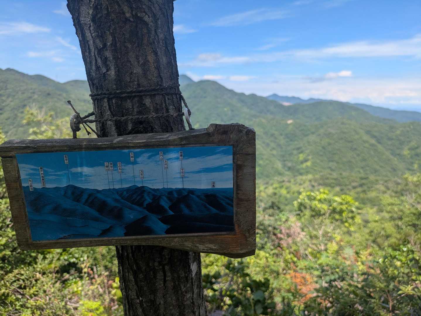 平山登山口-高尾山-藍染山 周回コースの写真