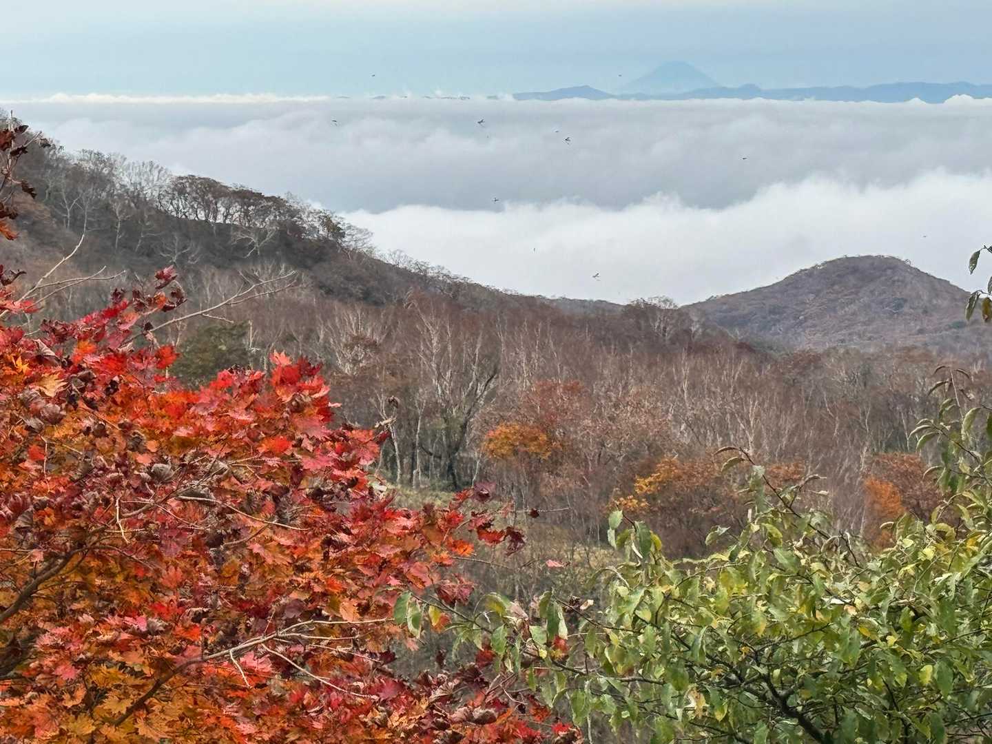 黒檜山-駒ヶ岳コースの写真