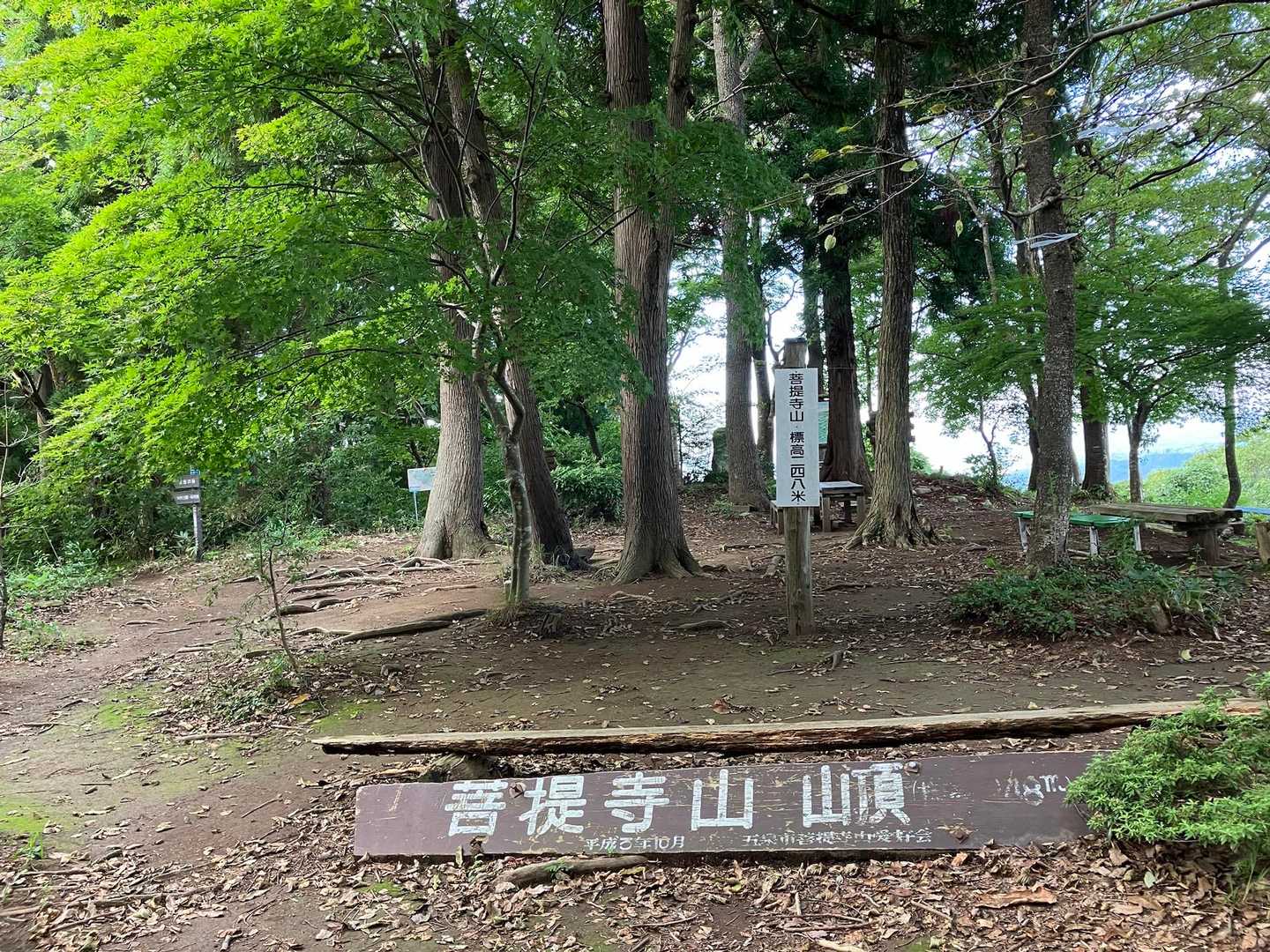山頂到着⛰️
誰もいません