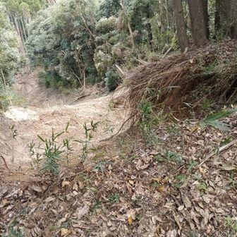 ここは登山道のすぐ際まで崩れています。
今日は全然問題なく、安全に通れますが、雨の日は少し危険かも。
気をつけて歩きましょう。