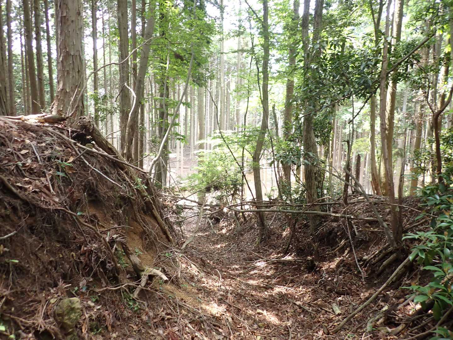 三国ヶ嶽登山口-三国ヶ嶽 往復コースの写真