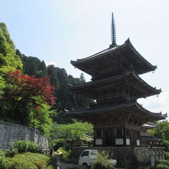高取山 / zep8617の登山データ | YAMAP / ヤマップ