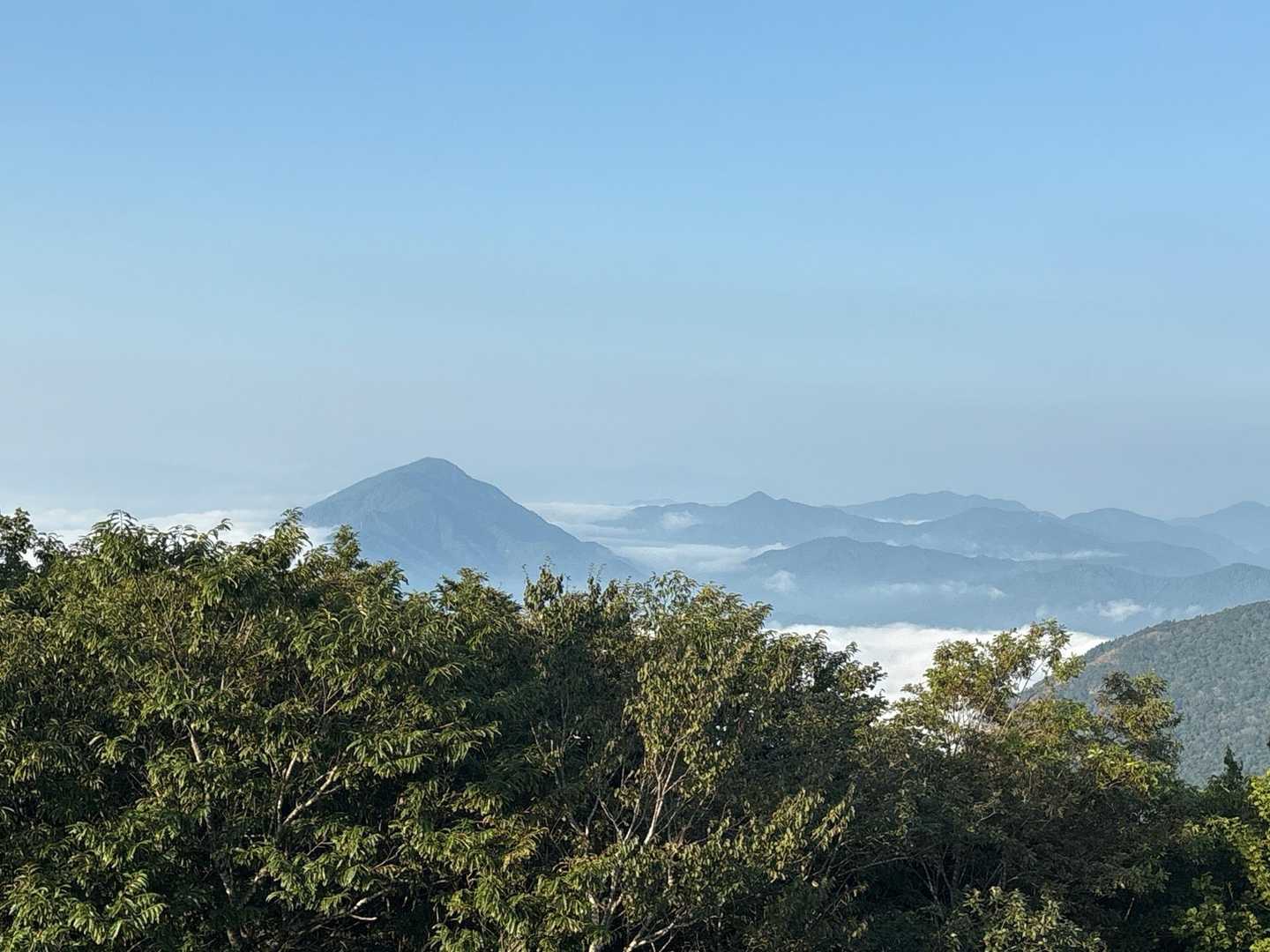 雲海☁️見えてますが、木🌲で隠れてます📷