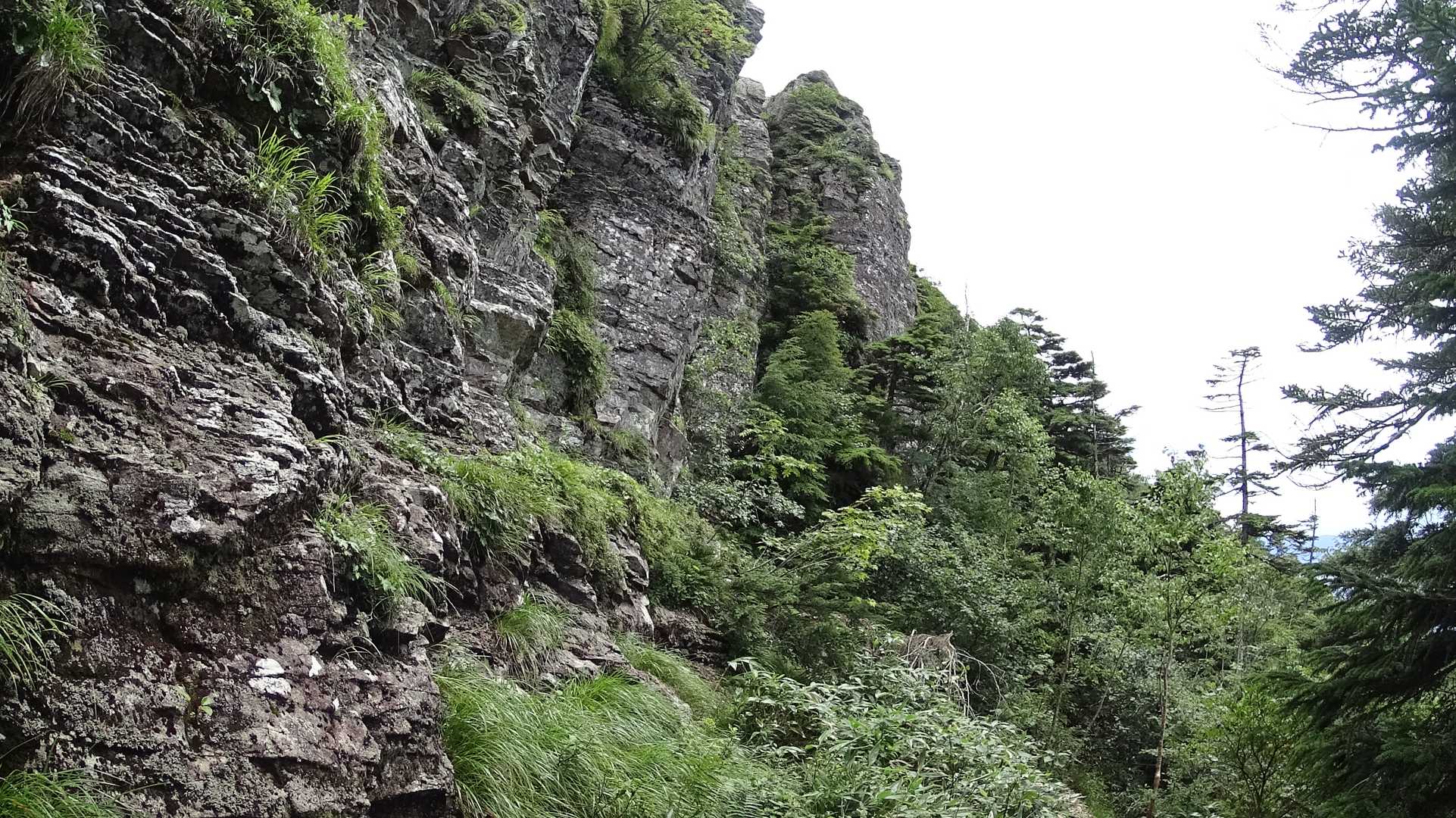 不動岳-前武尊-家の串山-武尊山 往復コースの写真