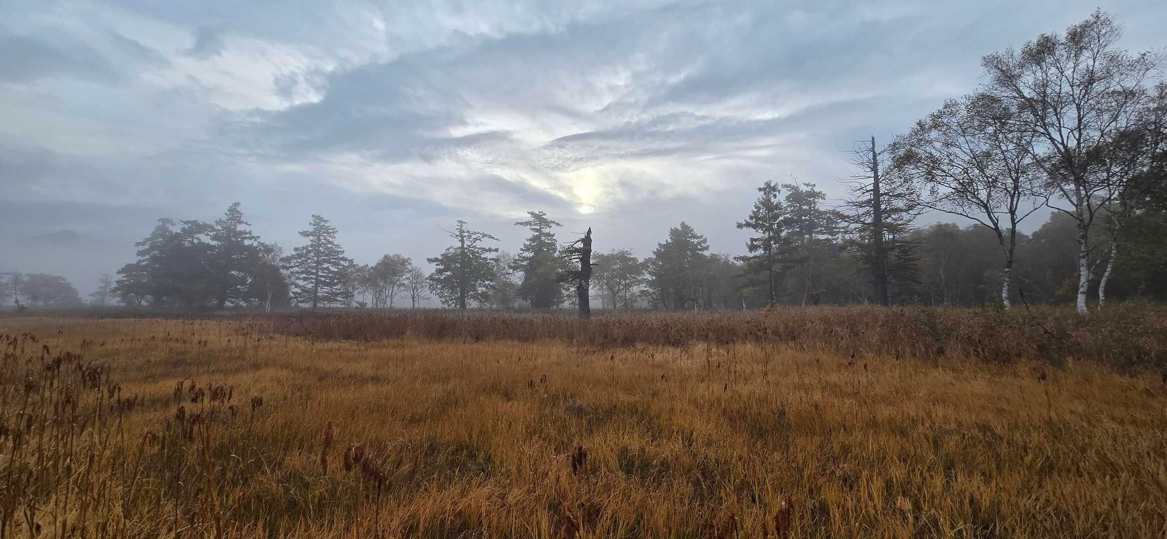 鳩待峠-見晴 往復コースの写真
