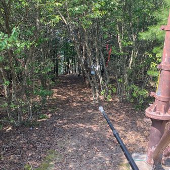 ここまで32分が経過。
登山口へと戻りますよ〜👉