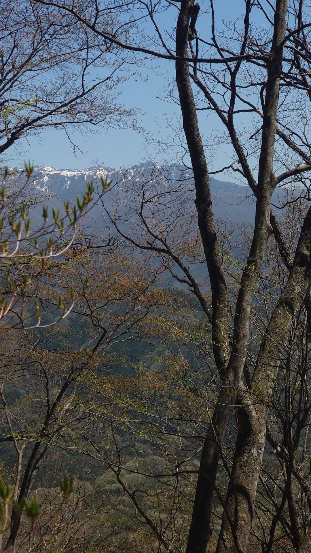木々の間からの武尊山🏔