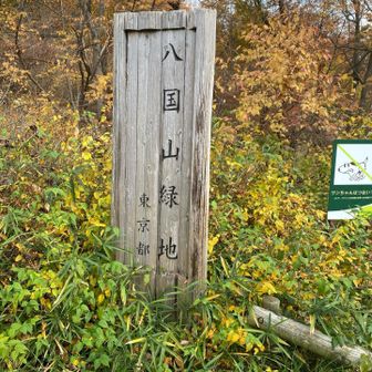 八国山を目指します（この時は）