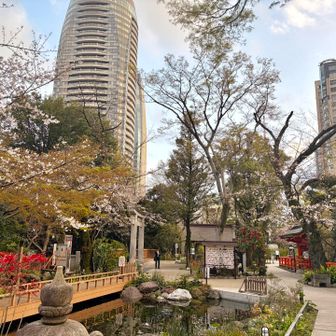 愛宕山頂標識見当たらず
ビルの谷間の池に鯉が泳いでいる