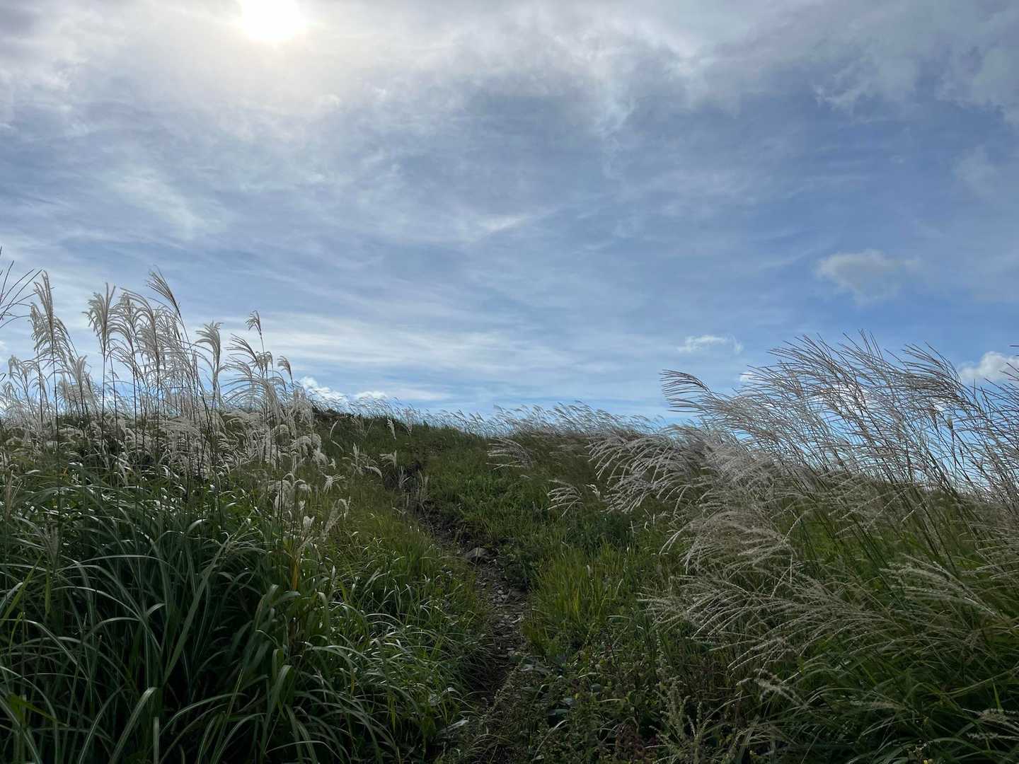 東登山口-深入山-南登山口 周回コースの写真