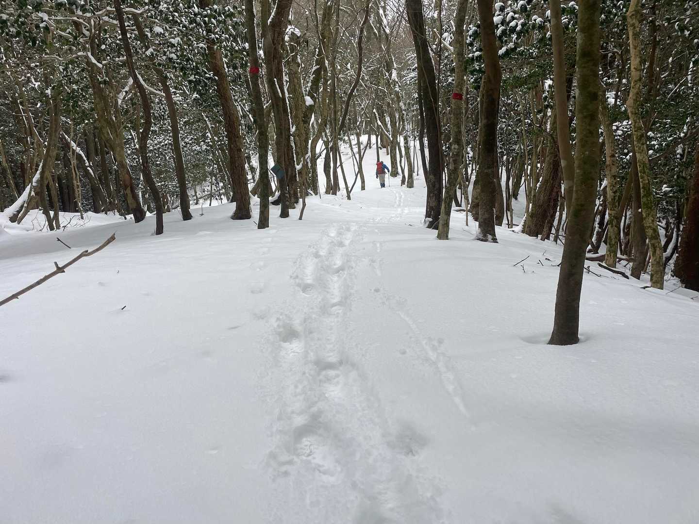 いきなりの急登を終えると
ふかふかの新雪の道、、、♫