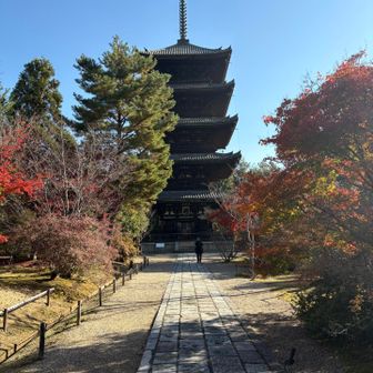 澄んだ空に映える五重塔