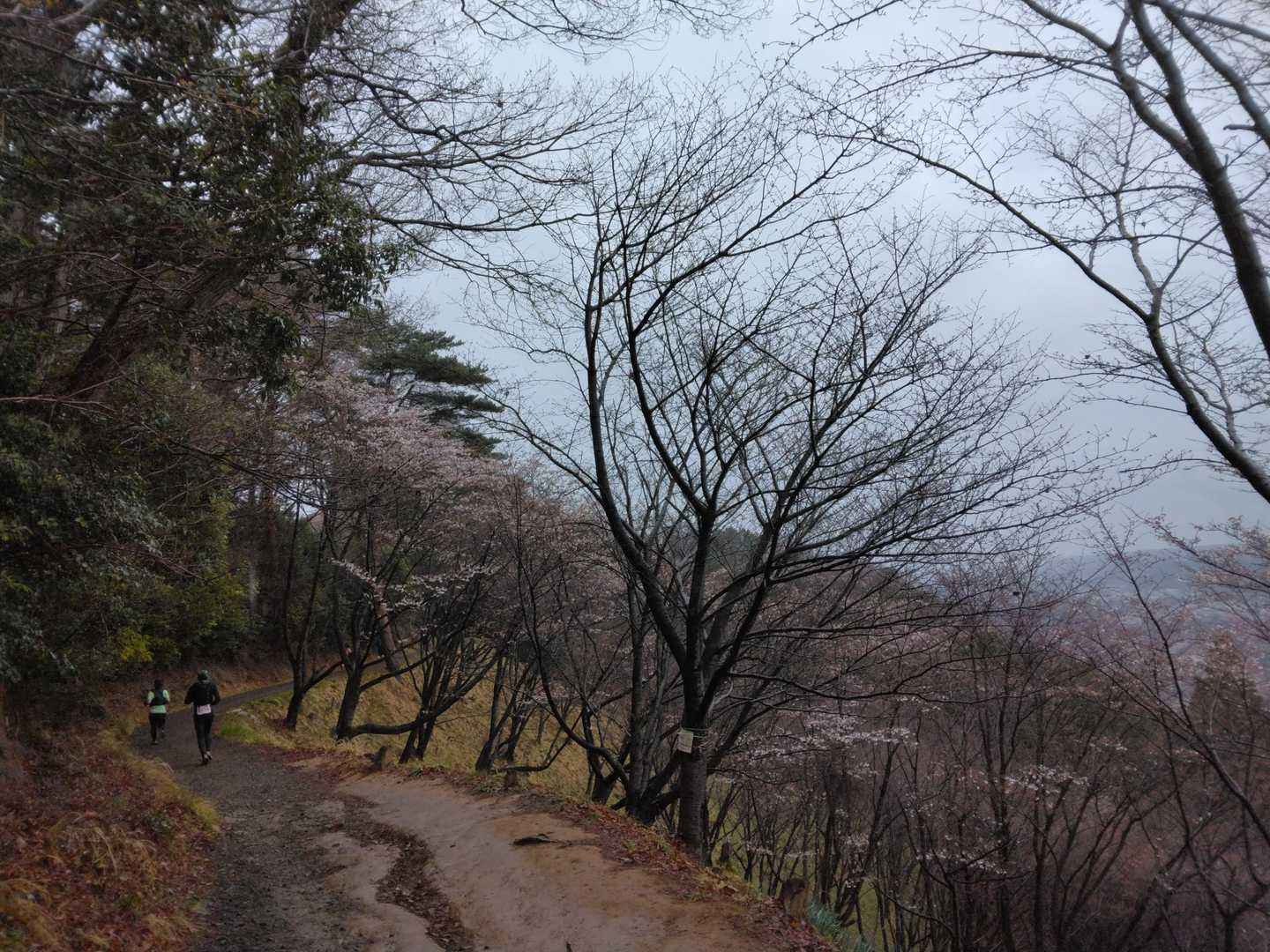 晴れていたら
里山の春っていう感じ満載なのに。