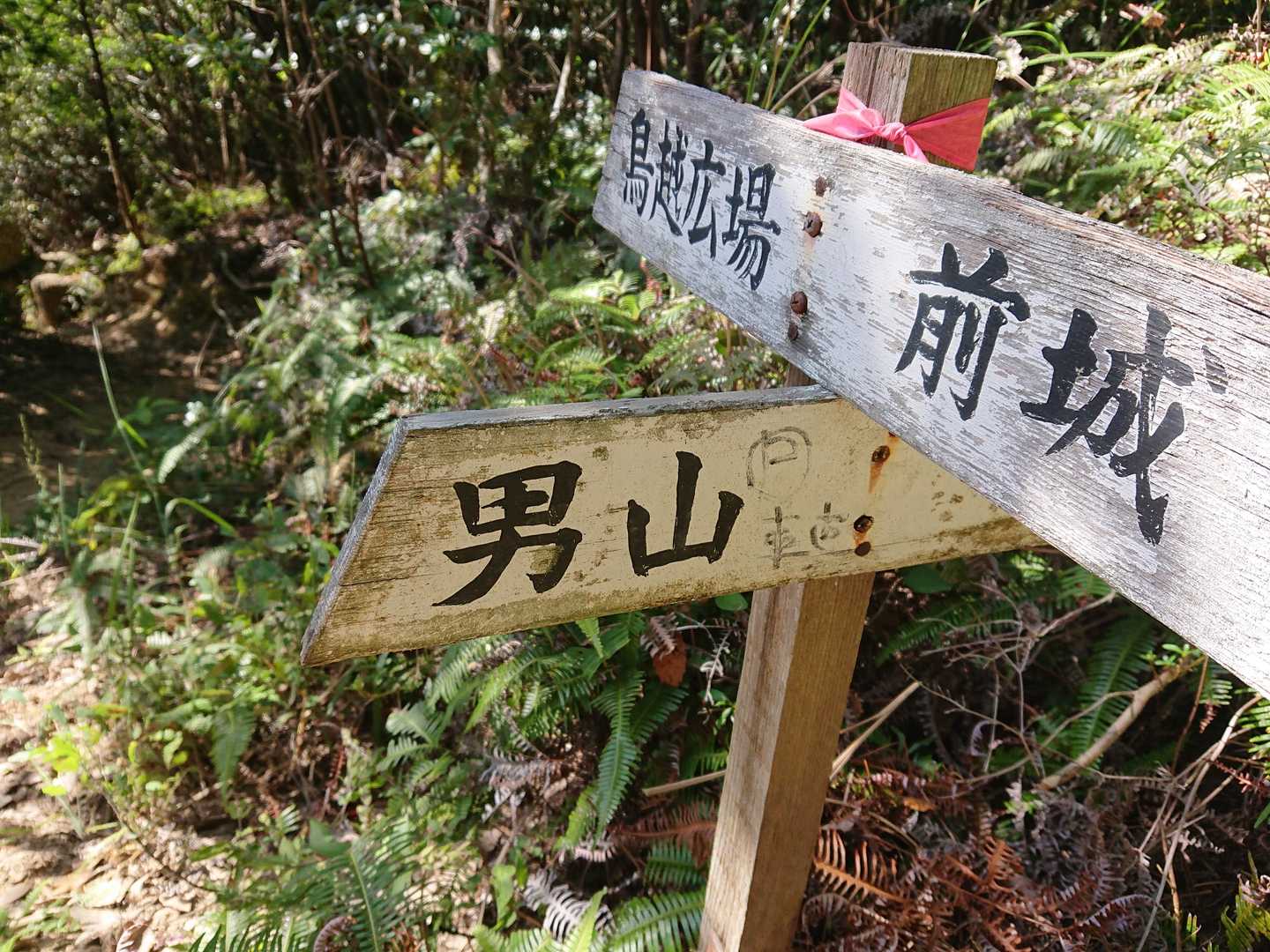 男山に行きまーす