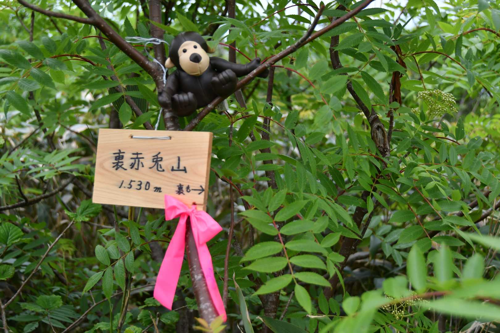 裏も見たよ(^ ^)
スッキリしましたー♡