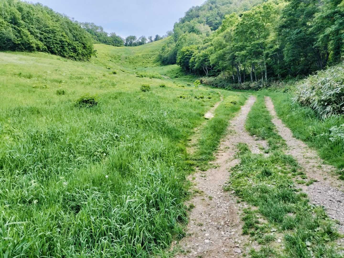 スキー場コースの地図・登山ルート・登山口情報 | YAMAP / ヤマップ