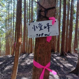 小堂峰。縦走してます。